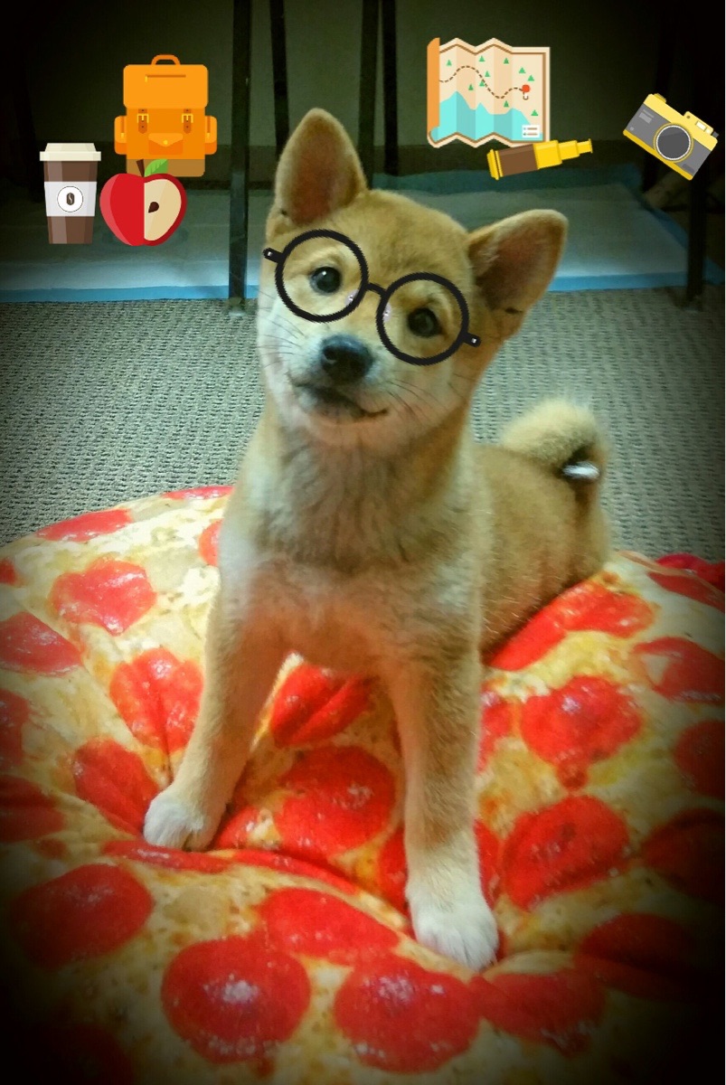 锁死·窒息·一剑封喉，维斯塔潘如何用一圈定义整个赛季