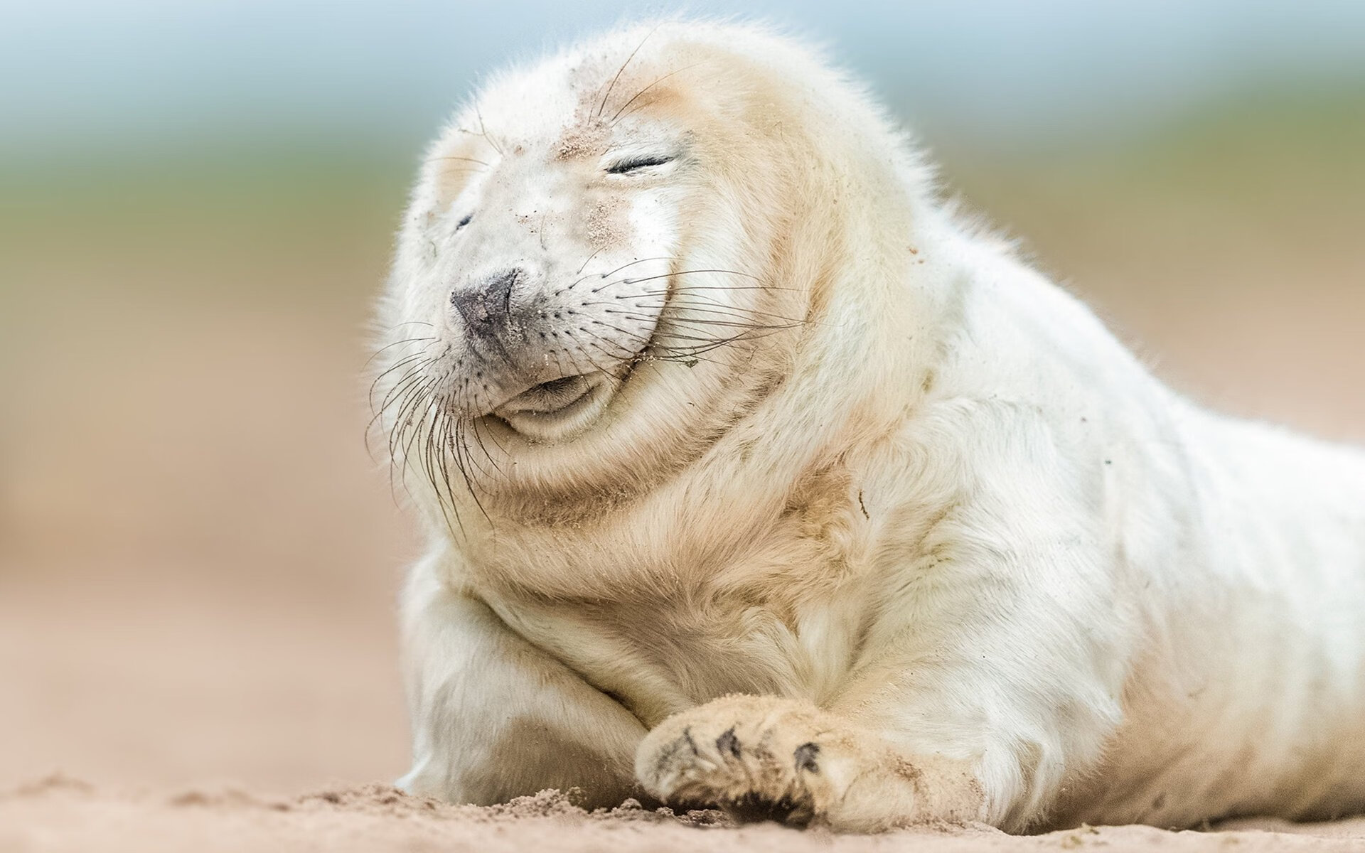 教科书式胜利中的非教科书英雄，马琳惊艳四座改写轻取剧本