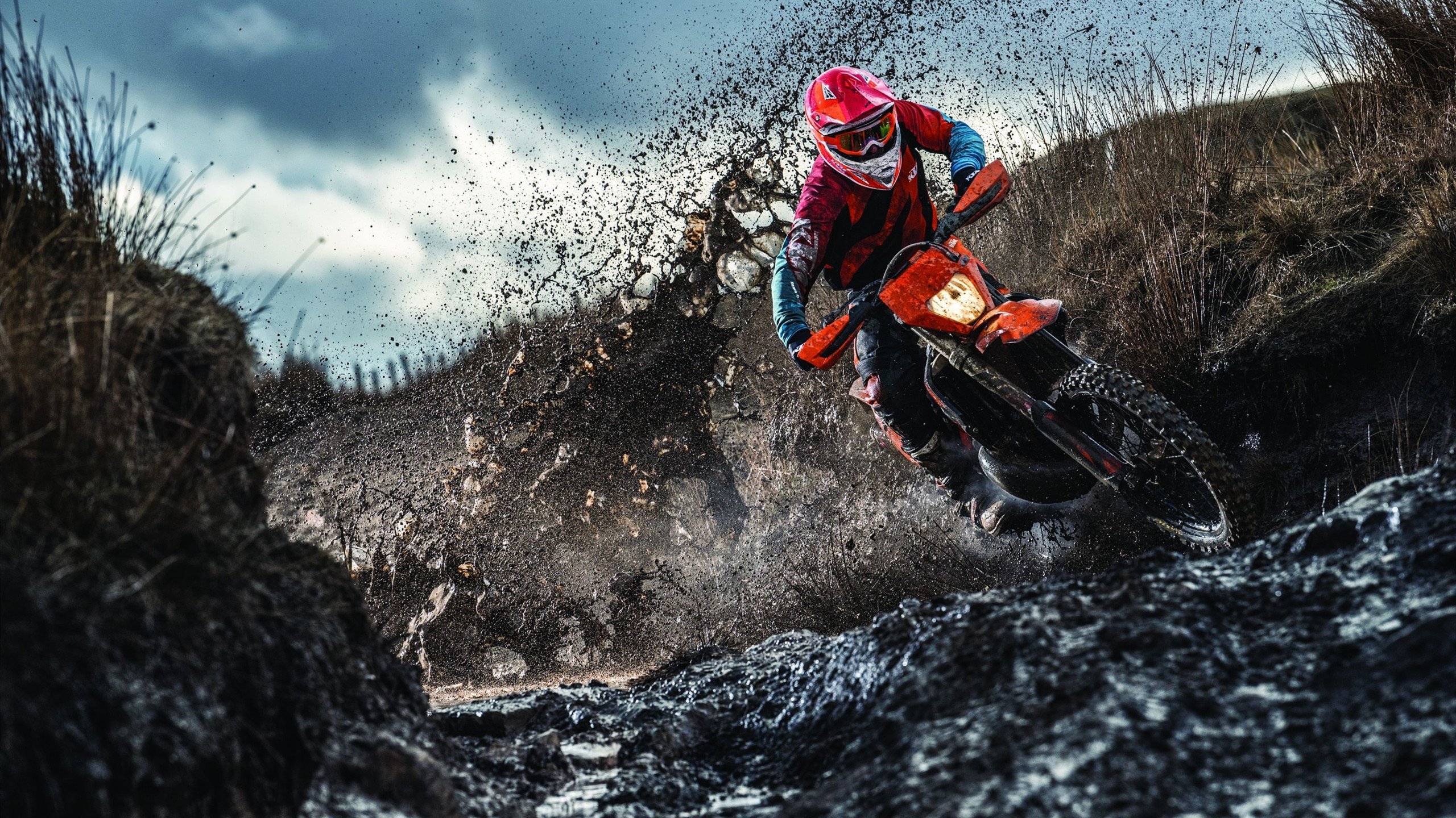 红牛绝地反击！诺里斯统治全场却痛失王座