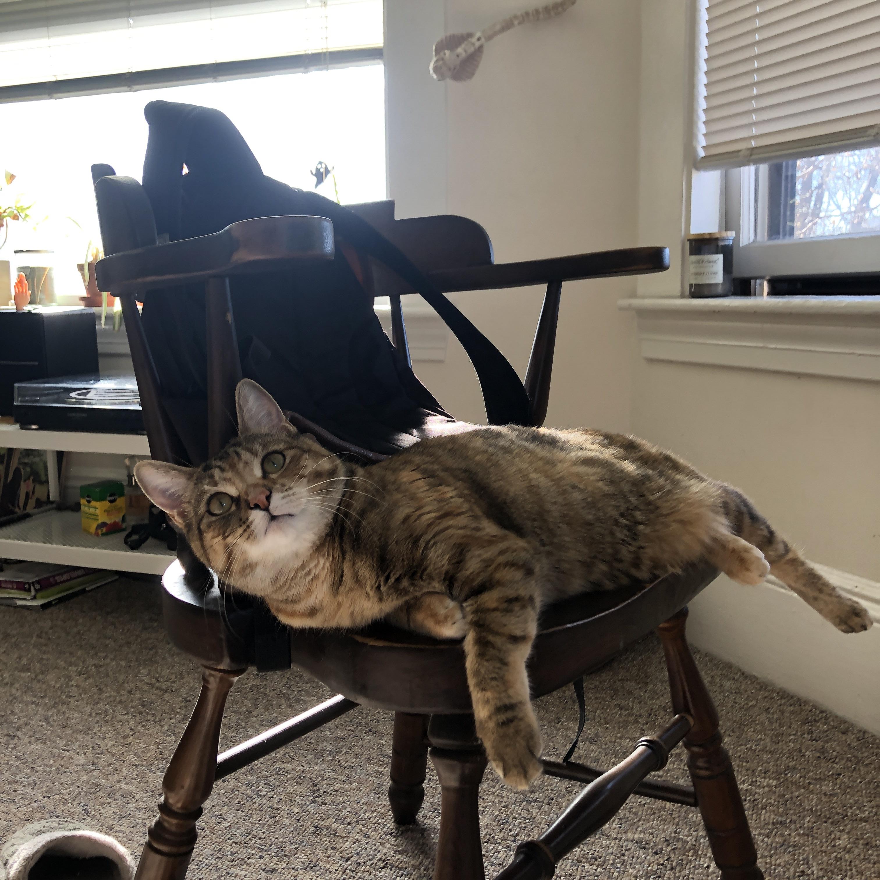 冰与火之歌，印尼绝境逆转背后，是安赛龙无情的统治序曲