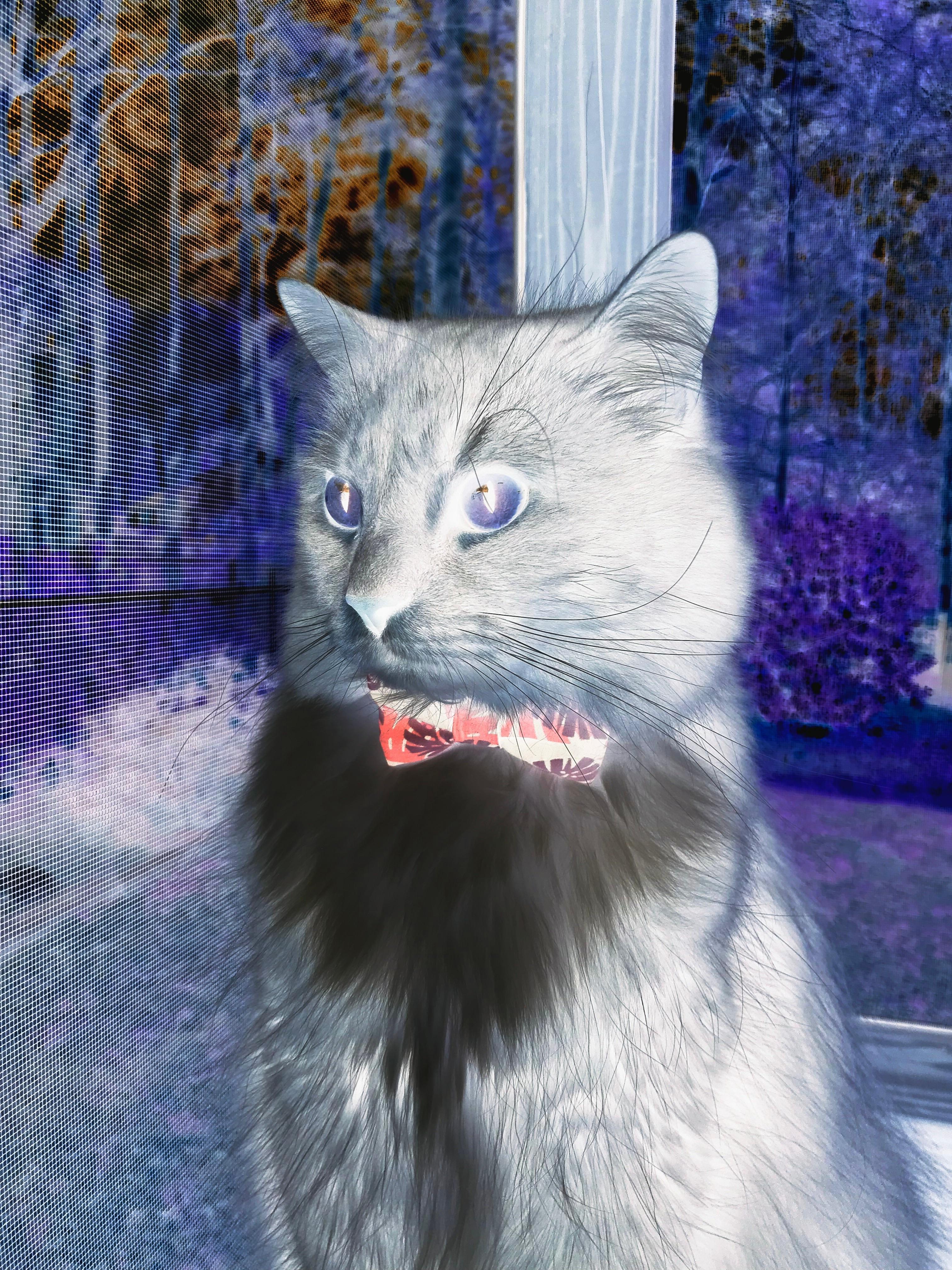 爱游戏官网-生死时刻的绝对主宰，F1与绿茵场的终极硬仗哲学