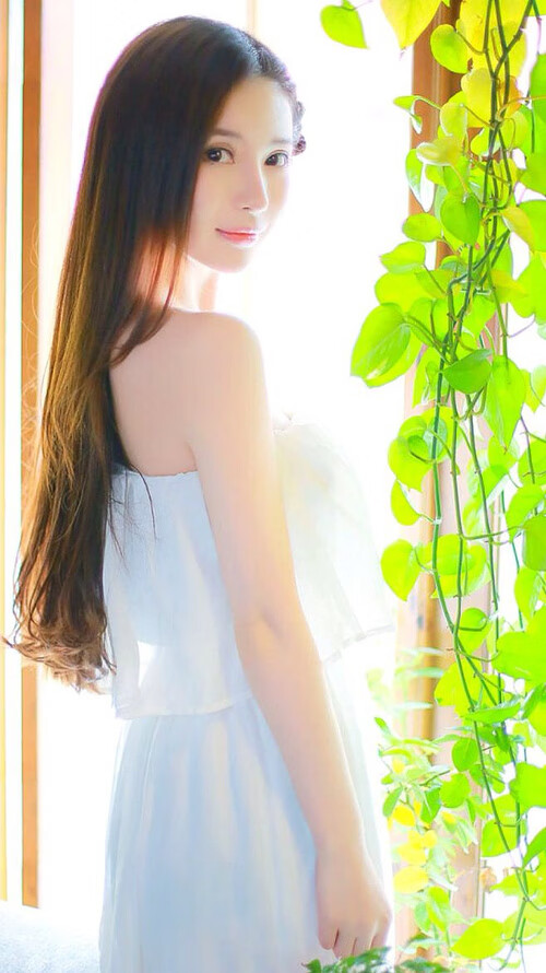 钢铁锁链与手术刀，当切特的防守哲学遇见奇才的进攻艺术