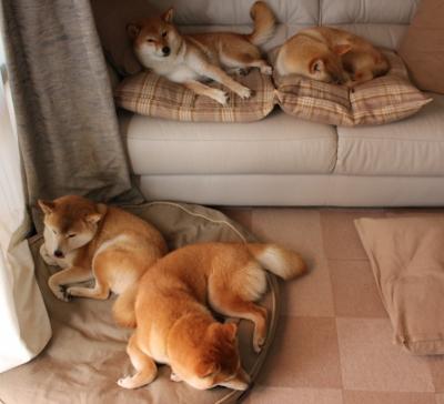 后种族隔离时代的足球政治博弈,楚阿梅尼的爆发与南非对AC米兰的终极抵制