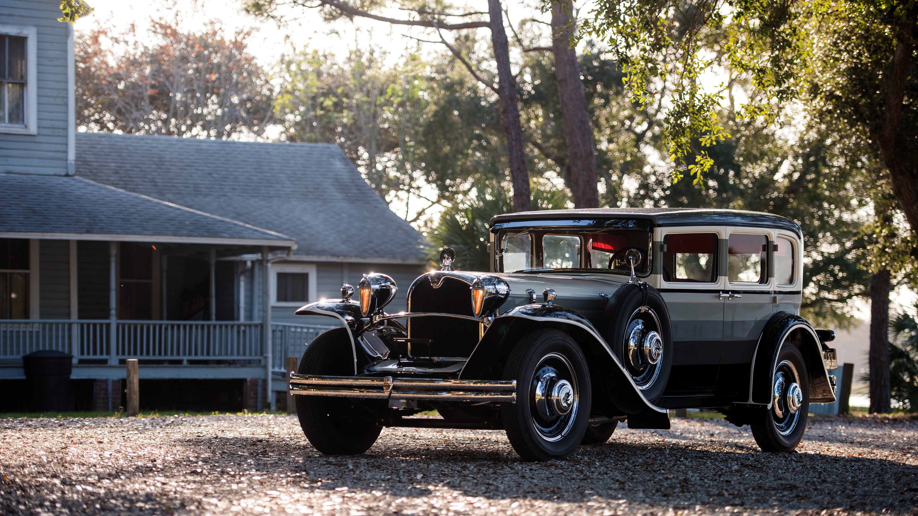 暴雨与烈日之间，进化与复苏的统治力