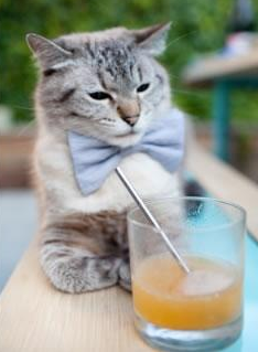 爱游戏体育-马拉多纳的注视下，马丁内利刺破神话，那不勒斯踏平阿森纳