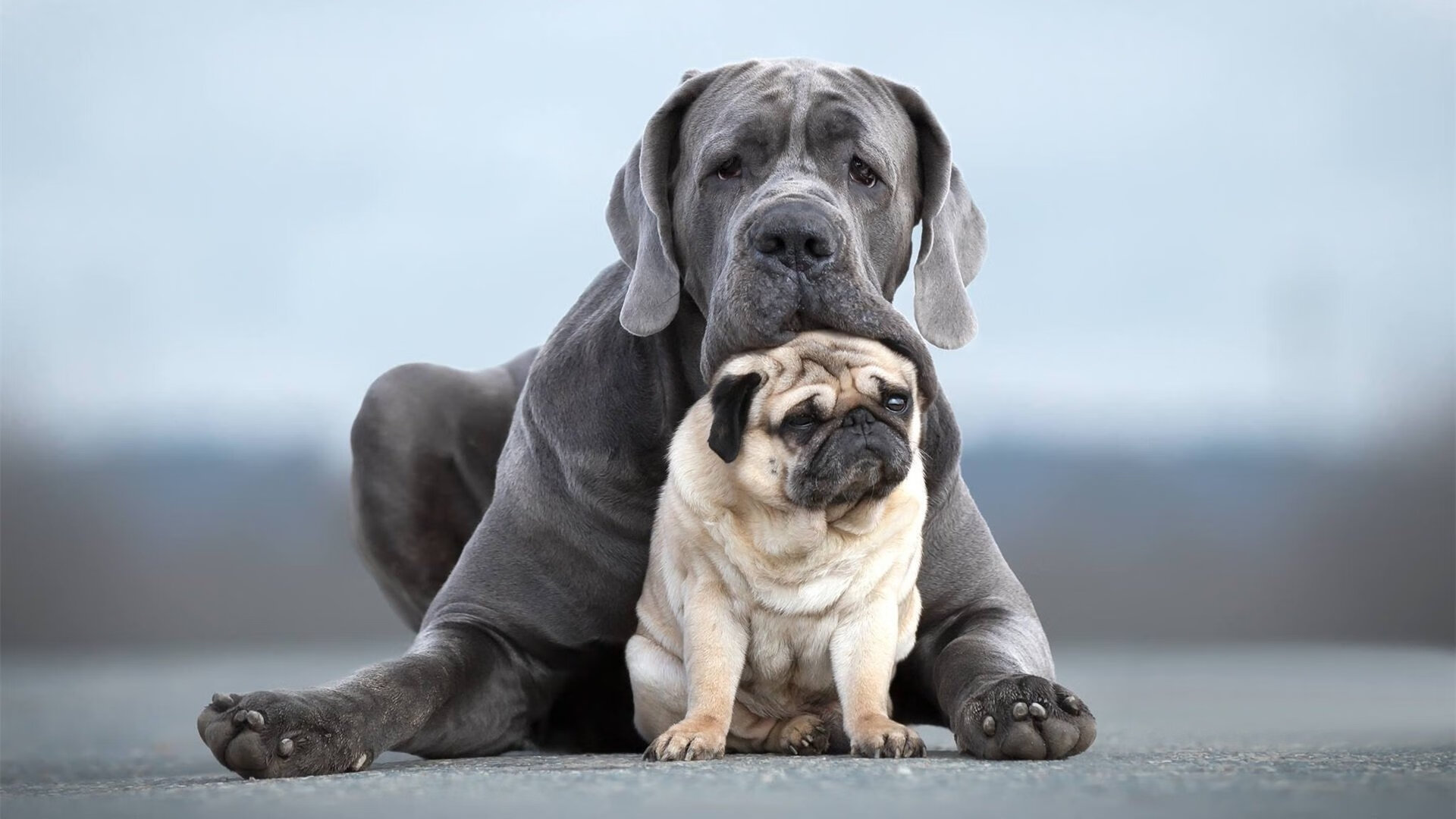伯纳乌长夜，与贝林厄姆的终极救赎—一场压力熔铸的加冕礼
