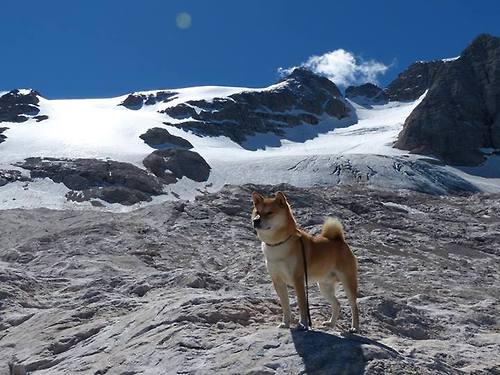锡安暴力美学撕裂勇士防线，开拓者以沉稳之姿宣告新时代秩序