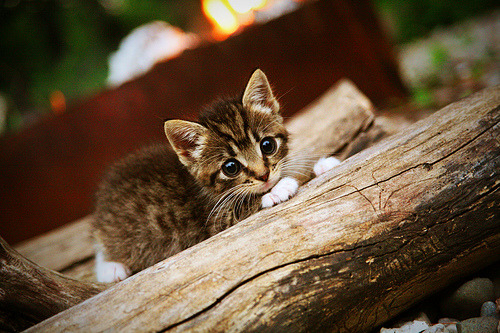 毕尔巴鄂签约小字母哥—梅西生死战42分，两种书写传奇的方式