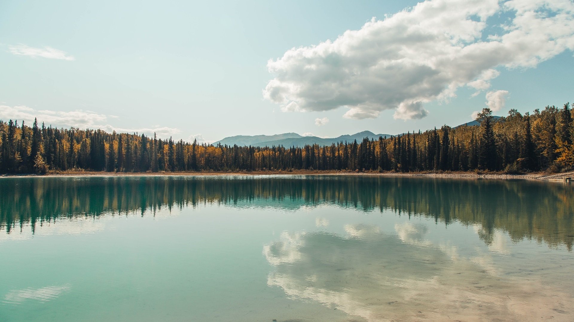 冰封烈焰，乔治的防守艺术如何重塑浙粤争霸格局