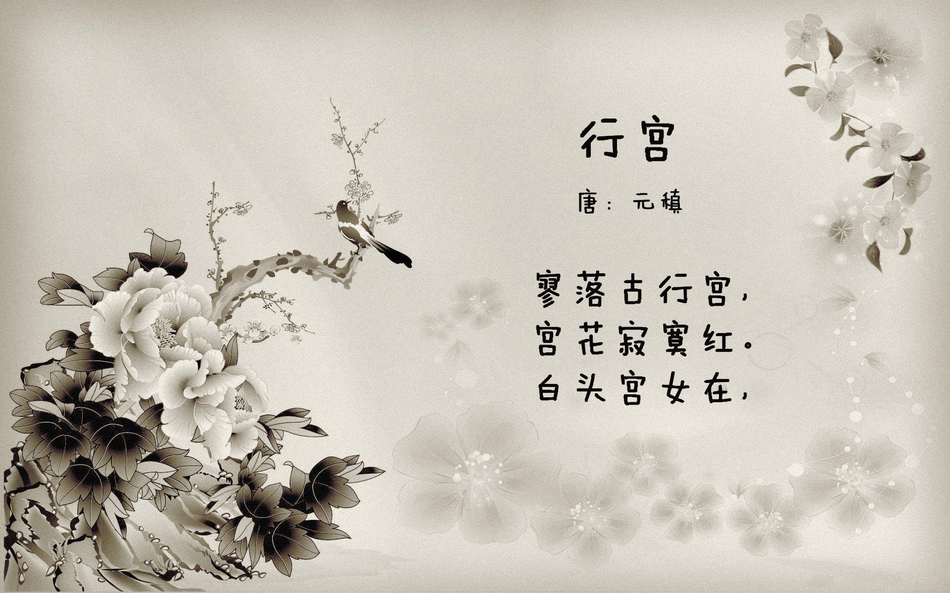 非洲风暴席卷高卢雄鸡,奥利维耶导演窒息胜利