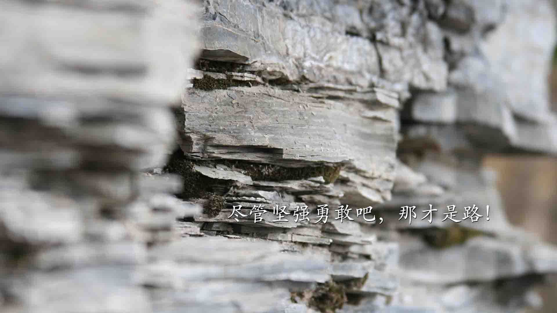 独步天下,世界杯头名之争焦点战,巴西碾压瑞士,B费主导比赛,状态火热书写唯一传奇