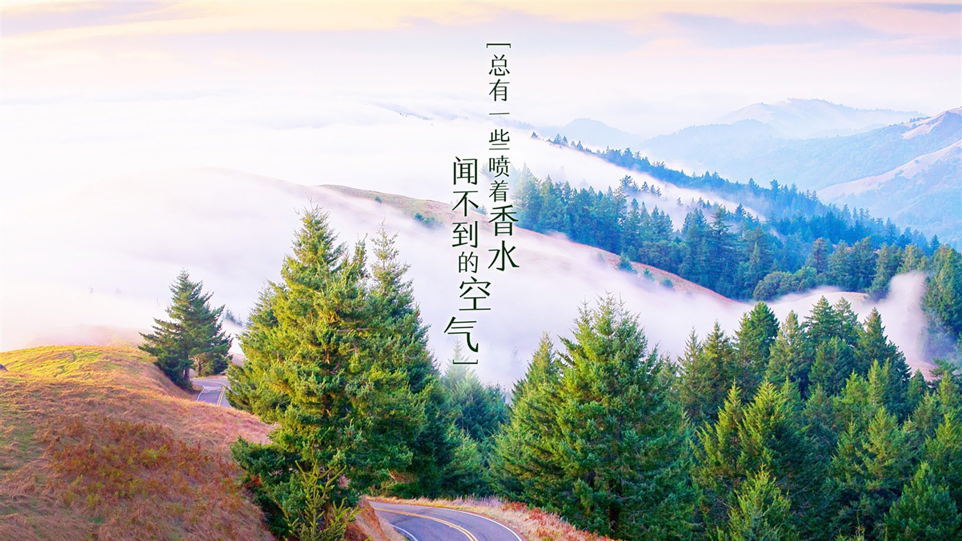 孤星破晓,2026世界杯B组暗战,福登一剑封喉改写喀厄命运