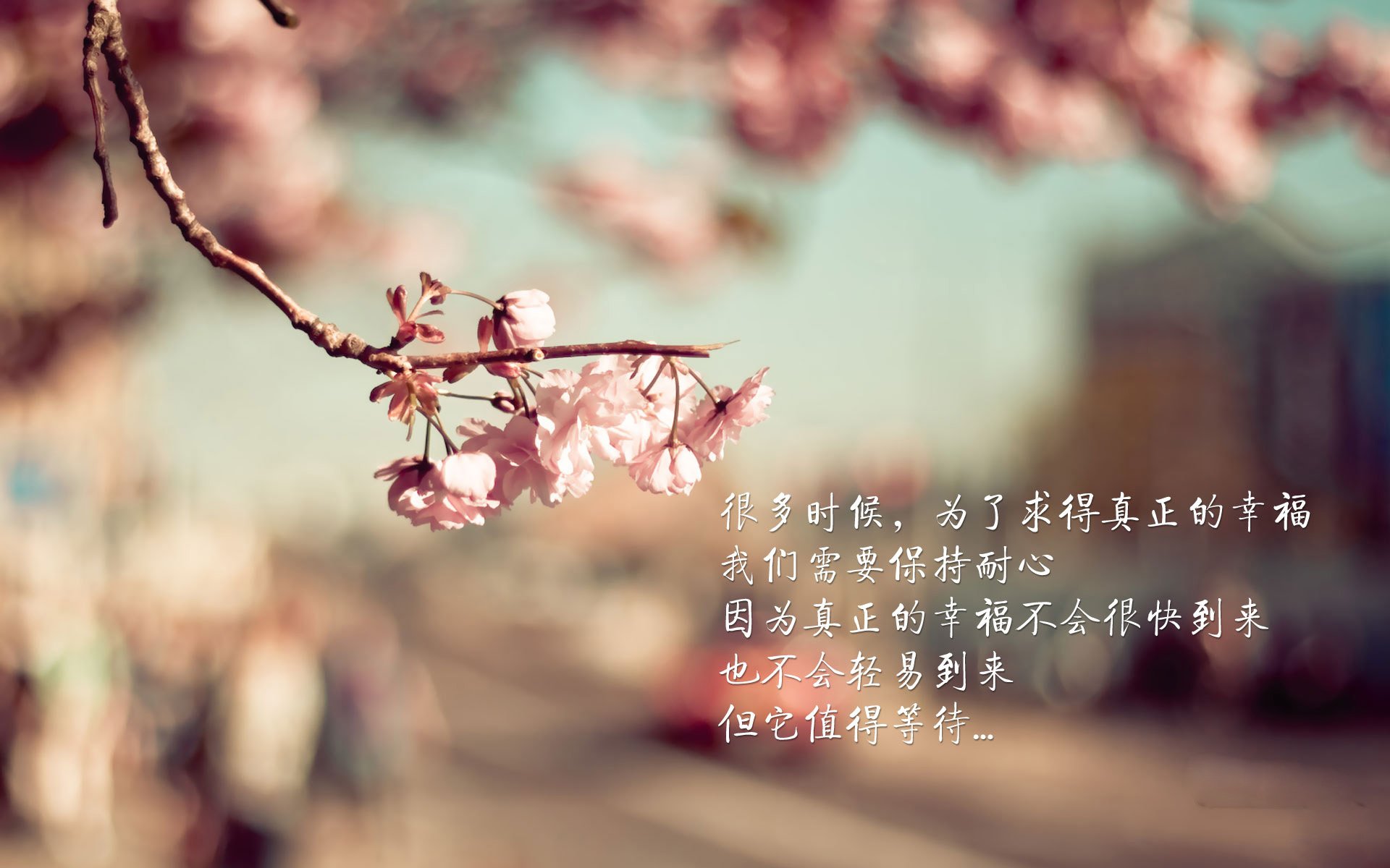 极夜之光,2026世界杯G组,哈兰德与挪威的逆转史诗