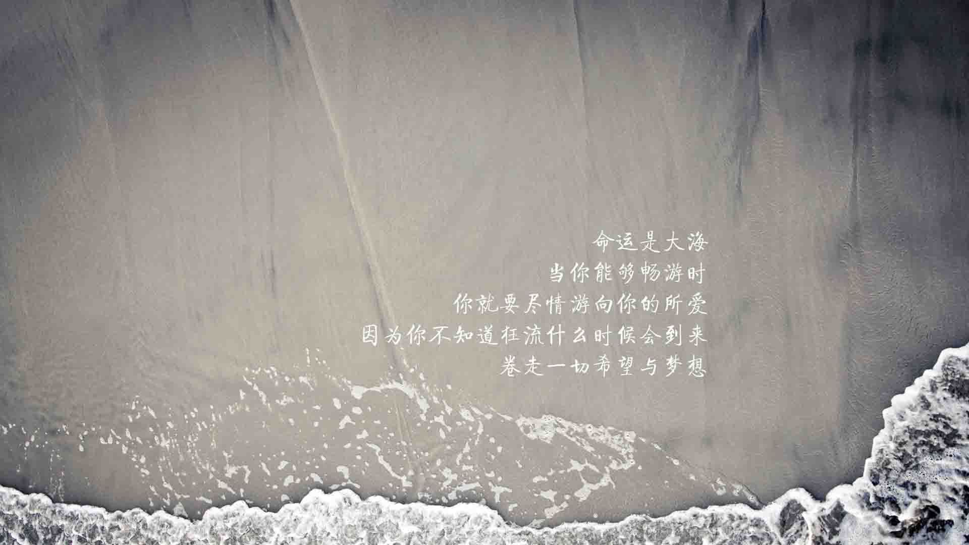 从西贡到圣何塞,一场酝酿了十年的复仇,越南如何用西班牙方式击溃西班牙,坎塞洛为何是那把最锋利的刀
