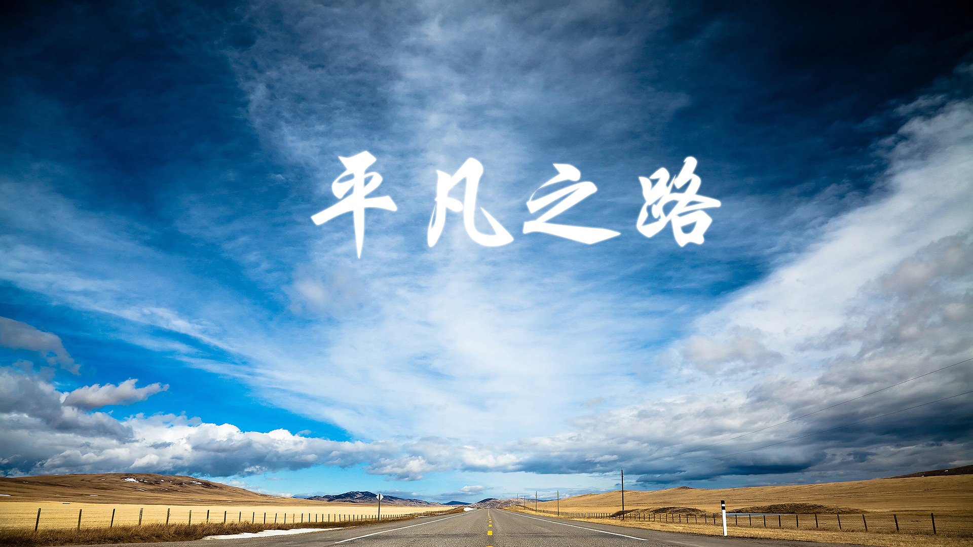 风车的余晖与安第斯的闪电，佩德里如何在2026年D组生死战中撕裂郁金香防线