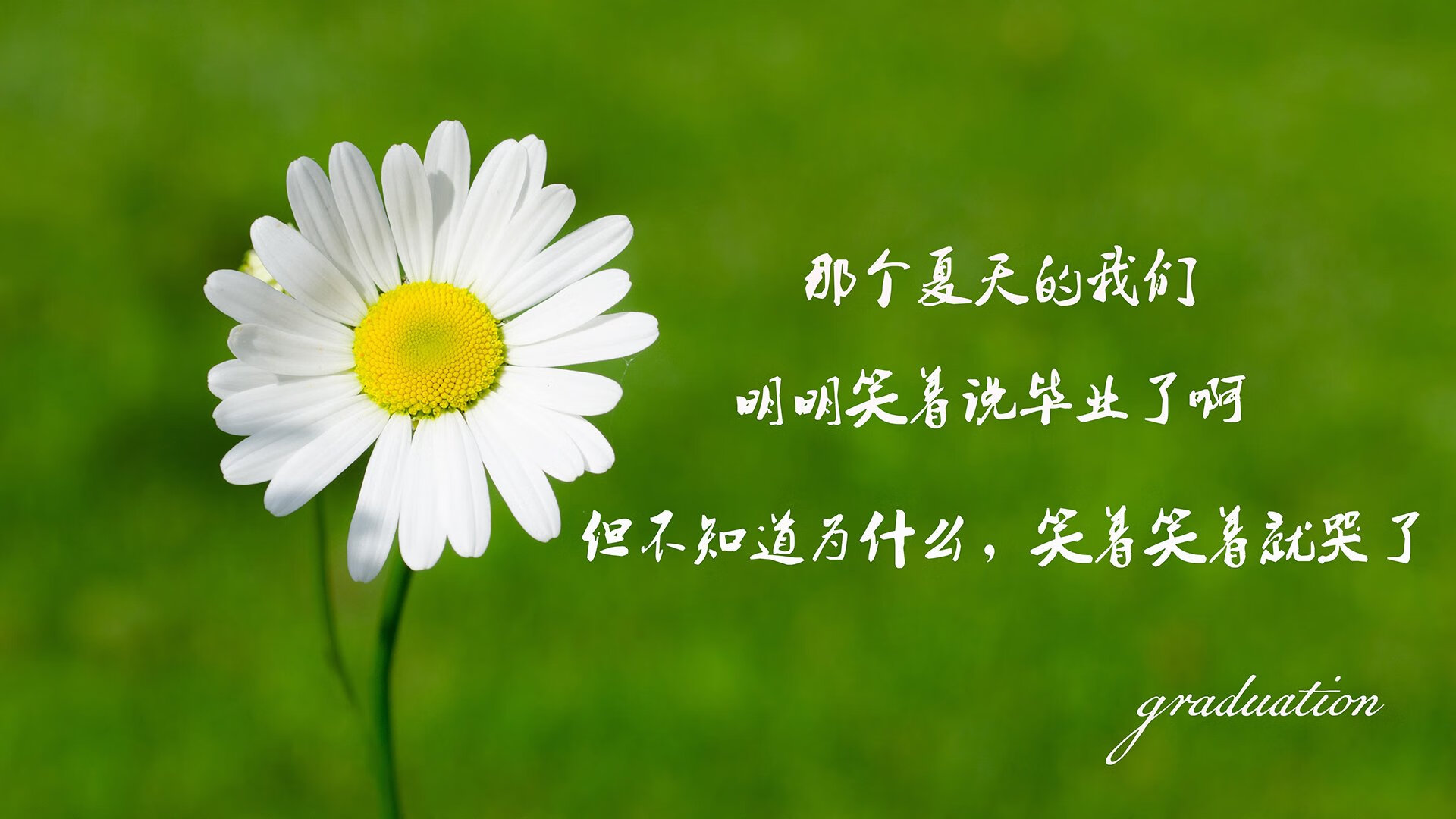 沙漠之巅，当桑巴狂潮淹没海湾，哈兰德以雷霆一击终结最后悬念