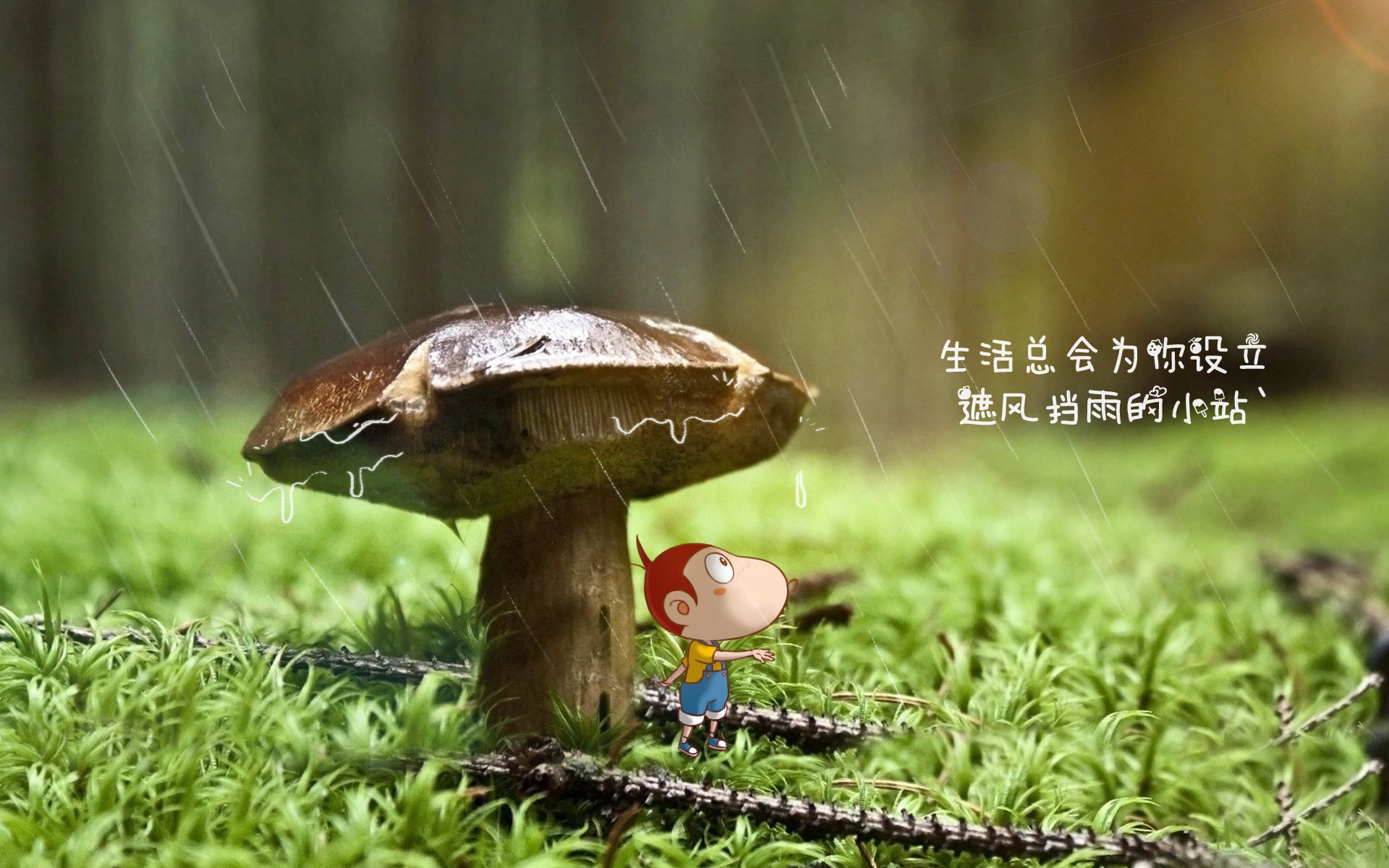 爱游戏入口-华沙铁幕，布罗佐维奇的意志之夜—记2026世界杯E组关键战波兰绝杀加纳