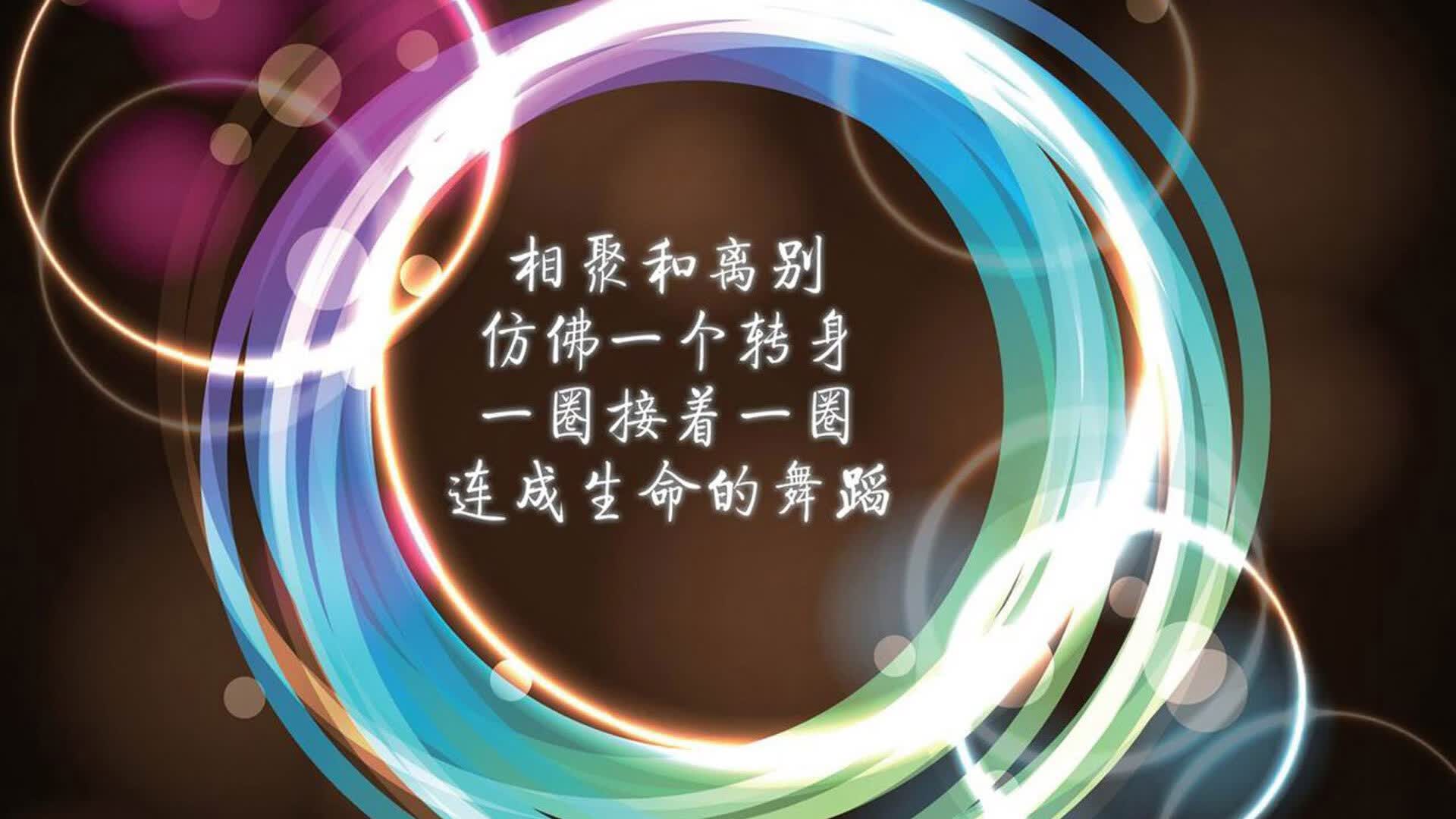 钢铁丛林的独白，2026世界杯F组，比利时与德国的宿命对决，德容用十次强硬对抗定义唯一